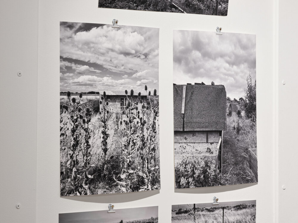 Edgelands