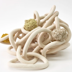 Masterclass: Handbuilding from extrusion with Elizabeth Jackson