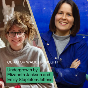 Curator Walk Through - Undergrowth by Elizabeth Jackson and Emily Stapleton-Jefferis