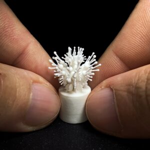 Masterclass: Eiair – Into the Tiny: Theory & Technique