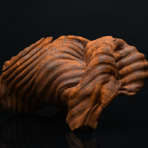 Masterclass: James Evans Textured Slab Forms & Experimental Surfaces